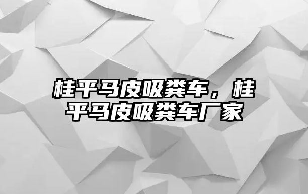 桂平馬皮吸糞車，桂平馬皮吸糞車廠家