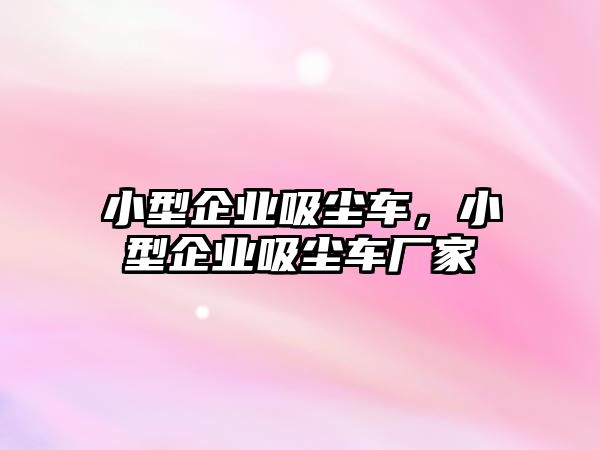 小型企業(yè)吸塵車，小型企業(yè)吸塵車廠家