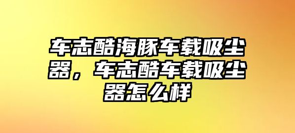 車志酷海豚車載吸塵器，車志酷車載吸塵器怎么樣