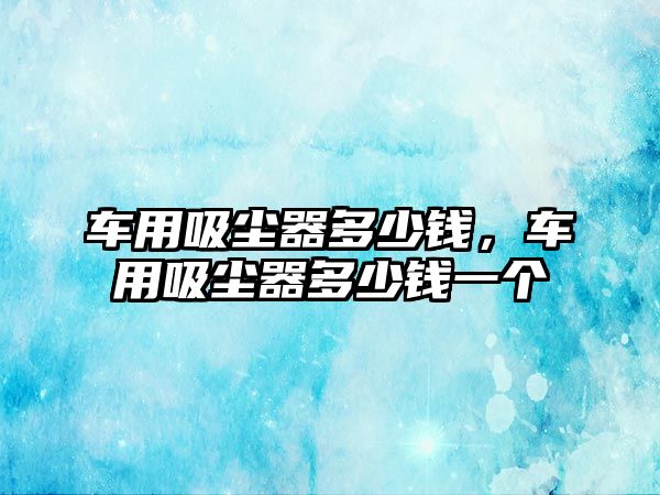 車用吸塵器多少錢，車用吸塵器多少錢一個