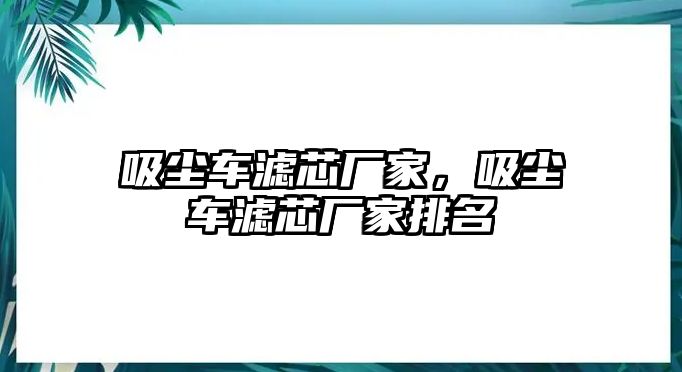 吸塵車濾芯廠家，吸塵車濾芯廠家排名