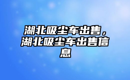 湖北吸塵車出售，湖北吸塵車出售信息