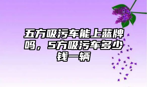 五方吸污車能上藍(lán)牌嗎，5方吸污車多少錢一輛