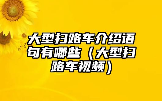 大型掃路車介紹語句有哪些（大型掃路車視頻）