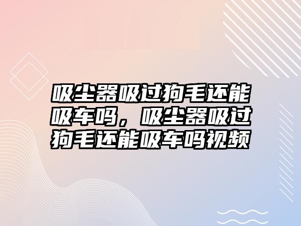 吸塵器吸過狗毛還能吸車嗎，吸塵器吸過狗毛還能吸車嗎視頻