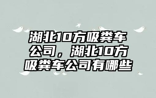 湖北10方吸糞車公司，湖北10方吸糞車公司有哪些