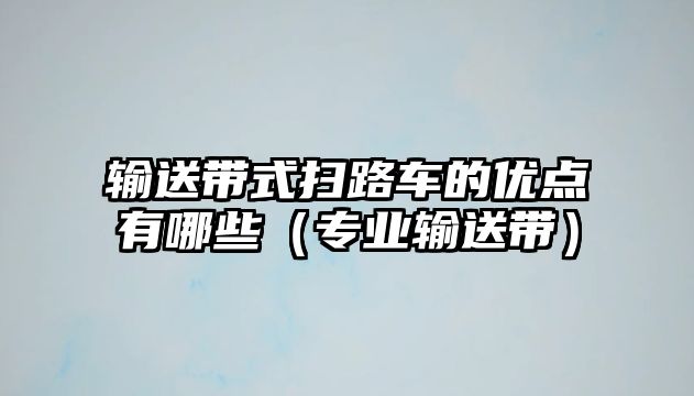 輸送帶式掃路車的優(yōu)點(diǎn)有哪些（專業(yè)輸送帶）