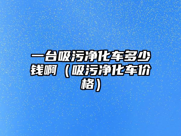 一臺(tái)吸污凈化車多少錢?。ㄎ蹆艋噧r(jià)格）