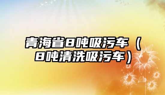 青海省8噸吸污車（8噸清洗吸污車）