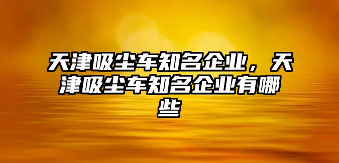 天津吸塵車(chē)知名企業(yè)，天津吸塵車(chē)知名企業(yè)有哪些