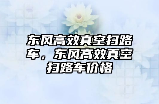 東風高效真空掃路車，東風高效真空掃路車價格