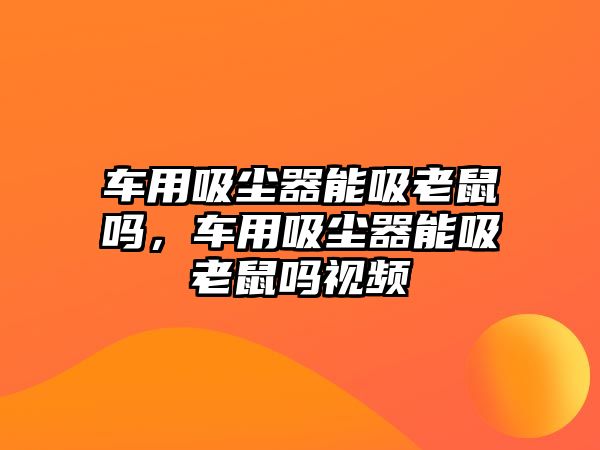 車用吸塵器能吸老鼠嗎，車用吸塵器能吸老鼠嗎視頻