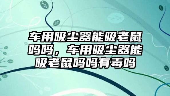 車用吸塵器能吸老鼠嗎嗎，車用吸塵器能吸老鼠嗎嗎有毒嗎