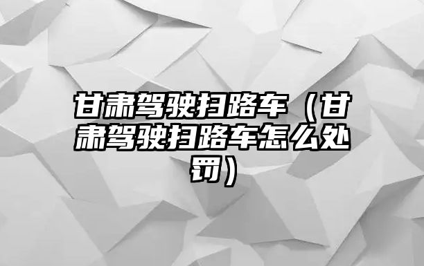 甘肅駕駛掃路車（甘肅駕駛掃路車怎么處罰）