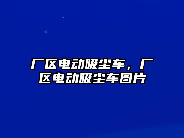 廠區(qū)電動吸塵車，廠區(qū)電動吸塵車圖片