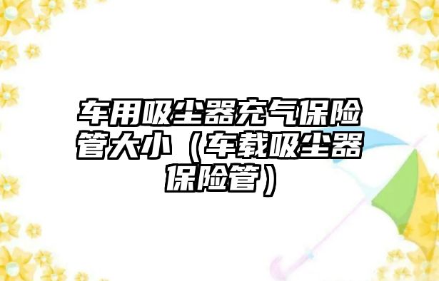 車用吸塵器充氣保險(xiǎn)管大?。ㄜ囕d吸塵器保險(xiǎn)管）