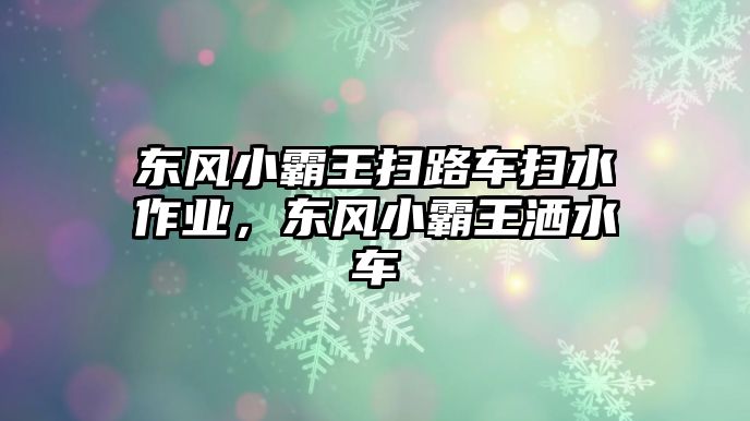 東風(fēng)小霸王掃路車掃水作業(yè)，東風(fēng)小霸王灑水車