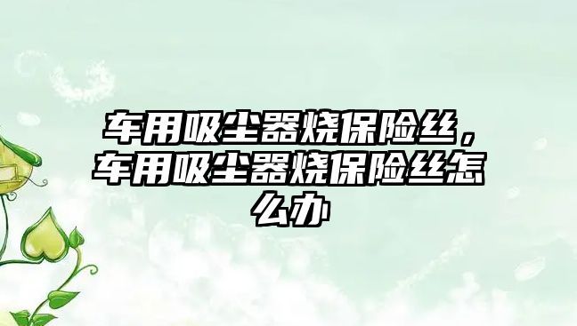 車用吸塵器燒保險絲，車用吸塵器燒保險絲怎么辦