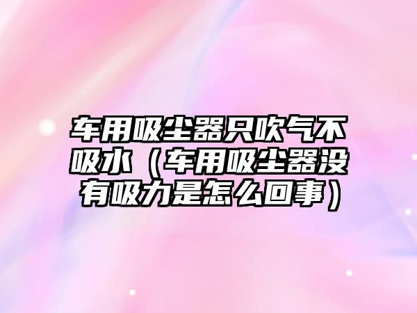 車用吸塵器只吹氣不吸水（車用吸塵器沒有吸力是怎么回事）