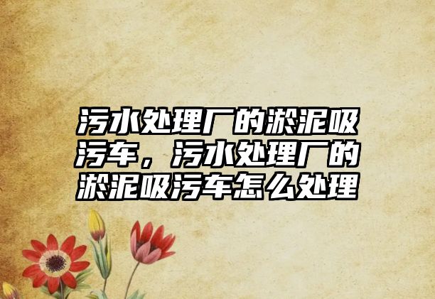 污水處理廠的淤泥吸污車，污水處理廠的淤泥吸污車怎么處理