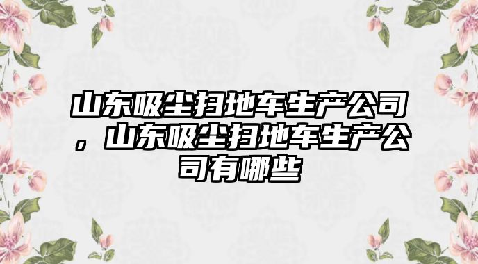 山東吸塵掃地車(chē)生產(chǎn)公司，山東吸塵掃地車(chē)生產(chǎn)公司有哪些