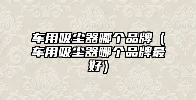 車用吸塵器哪個(gè)品牌（車用吸塵器哪個(gè)品牌最好）