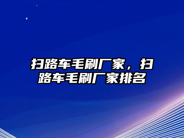 掃路車毛刷廠家，掃路車毛刷廠家排名