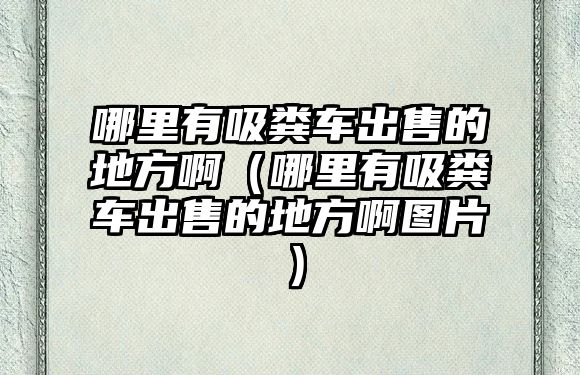 哪里有吸糞車出售的地方?。睦镉形S車出售的地方啊圖片）