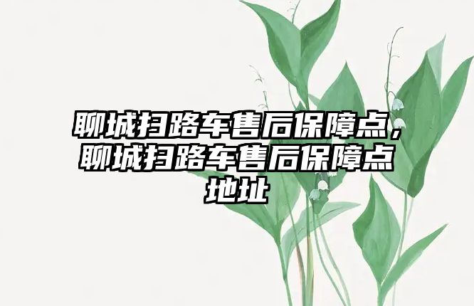 聊城掃路車售后保障點，聊城掃路車售后保障點地址