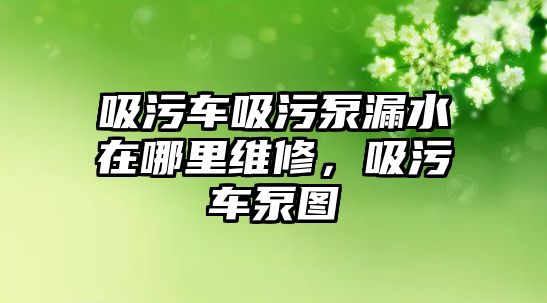 吸污車吸污泵漏水在哪里維修，吸污車泵圖