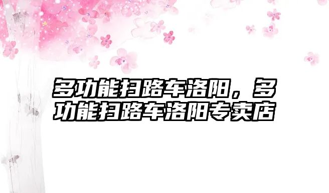 多功能掃路車洛陽，多功能掃路車洛陽專賣店