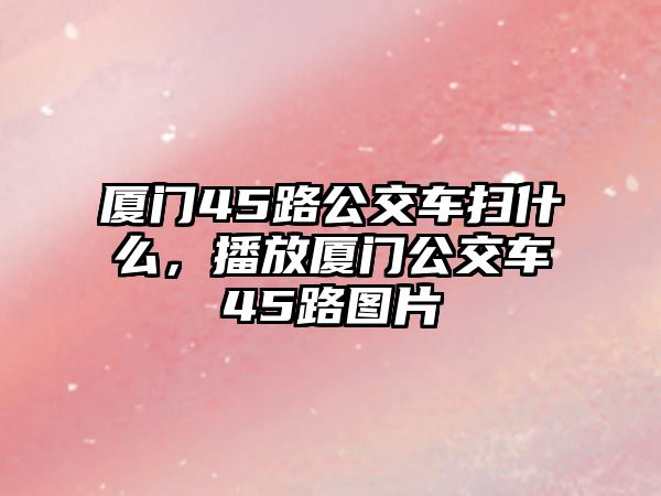 廈門45路公交車掃什么，播放廈門公交車45路圖片