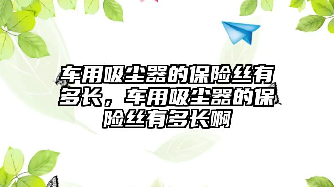 車用吸塵器的保險(xiǎn)絲有多長，車用吸塵器的保險(xiǎn)絲有多長啊