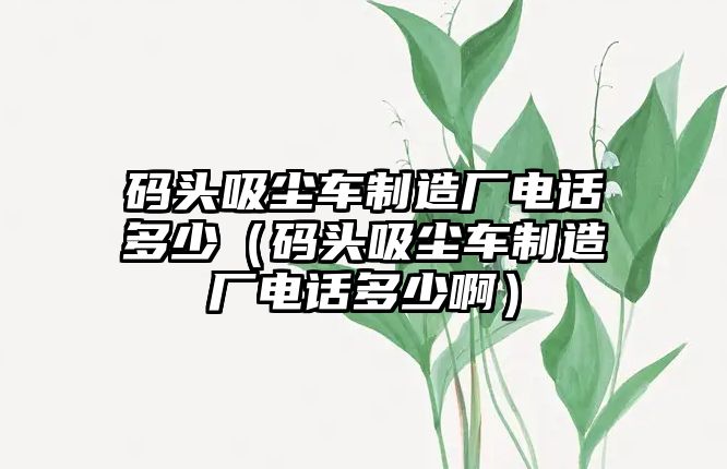 碼頭吸塵車制造廠電話多少（碼頭吸塵車制造廠電話多少?。?/>	
							</a> 
						</div>
						<div   id=