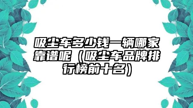 吸塵車多少錢一輛哪家靠譜呢（吸塵車品牌排行榜前十名）