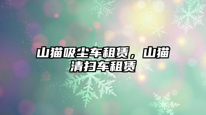 山貓吸塵車租賃，山貓清掃車租賃