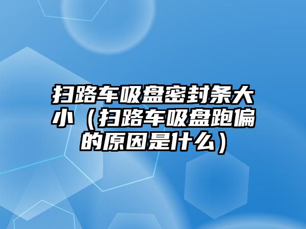 掃路車吸盤密封條大?。⊕呗奋囄P跑偏的原因是什么）