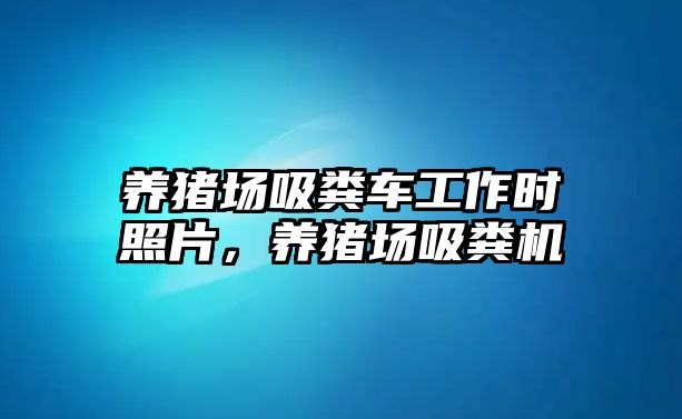 養(yǎng)豬場吸糞車工作時照片，養(yǎng)豬場吸糞機