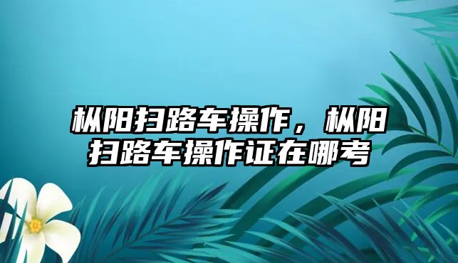 樅陽掃路車操作，樅陽掃路車操作證在哪考