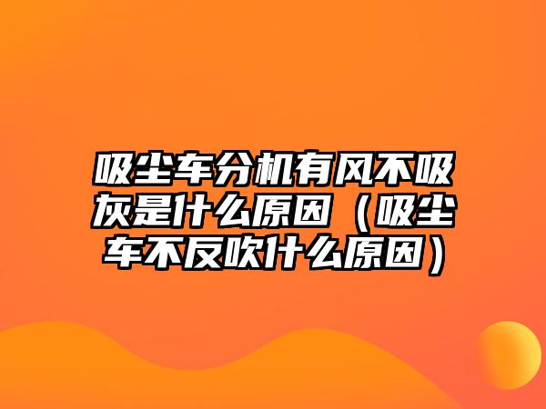 吸塵車(chē)分機(jī)有風(fēng)不吸灰是什么原因（吸塵車(chē)不反吹什么原因）