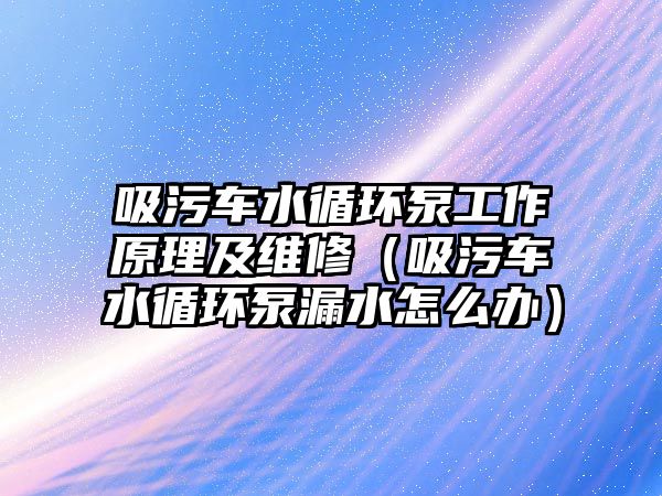 吸污車水循環(huán)泵工作原理及維修（吸污車水循環(huán)泵漏水怎么辦）