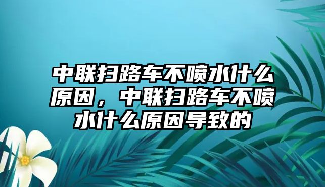 中聯(lián)掃路車不噴水什么原因，中聯(lián)掃路車不噴水什么原因?qū)е碌?/>	
							</a> 
						</div>
						<div   id=