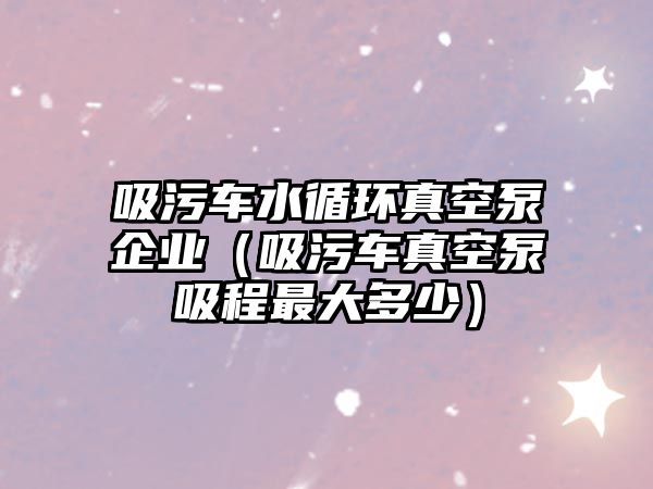 吸污車水循環(huán)真空泵企業(yè)（吸污車真空泵吸程最大多少）