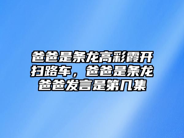 爸爸是條龍高彩霞開掃路車，爸爸是條龍爸爸發(fā)言是第幾集