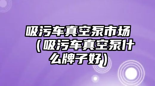 吸污車真空泵市場（吸污車真空泵什么牌子好）