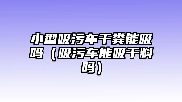 小型吸污車干糞能吸嗎（吸污車能吸干料嗎）