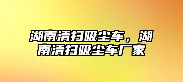 湖南清掃吸塵車，湖南清掃吸塵車廠家