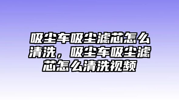 吸塵車(chē)吸塵濾芯怎么清洗，吸塵車(chē)吸塵濾芯怎么清洗視頻