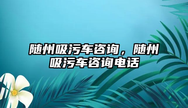 隨州吸污車咨詢，隨州吸污車咨詢電話