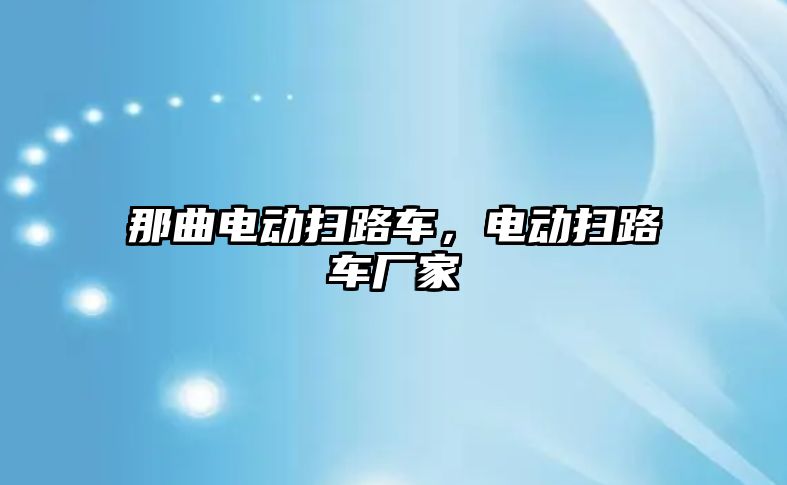 那曲電動掃路車，電動掃路車廠家